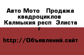 Авто Мото - Продажа квадроциклов. Калмыкия респ.,Элиста г.